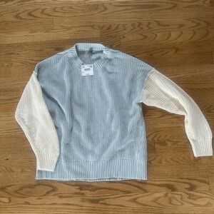 NWT- American Eagle Outfitters Blue and Cream Crewneck Sweater